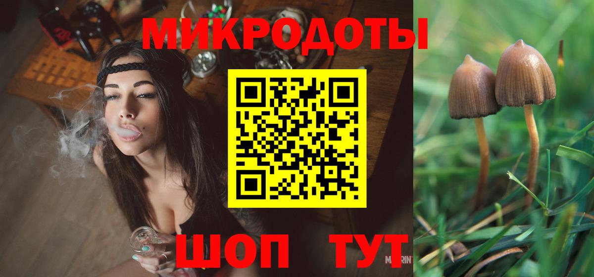 Псилоцибиновые грибы Psilocybine cubensis  Вход с VPN  Муром 